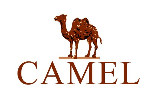 modacamel